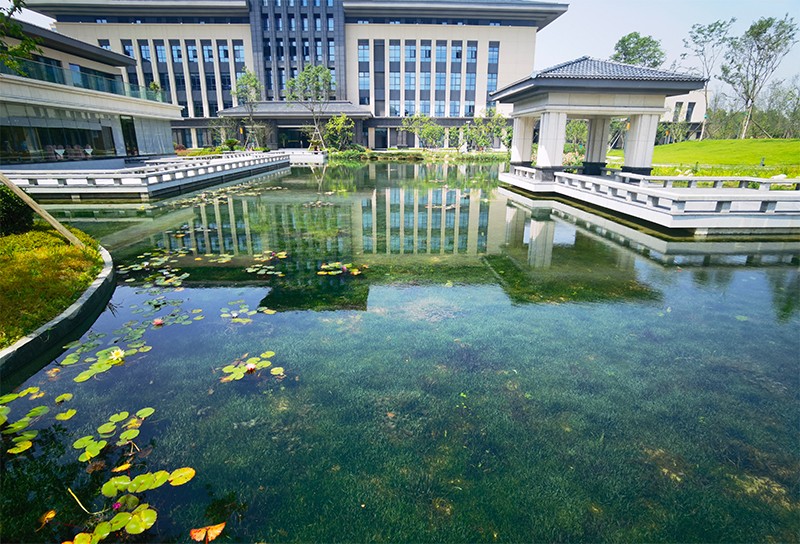 四川省委党校（四川行政学院）彭州校区景观湖水生态系统构建工程